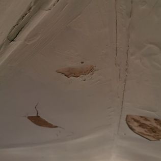 Lek plafond